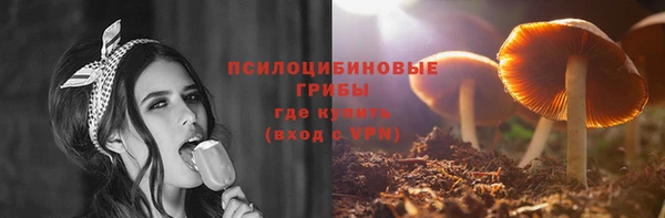 spice Аркадак