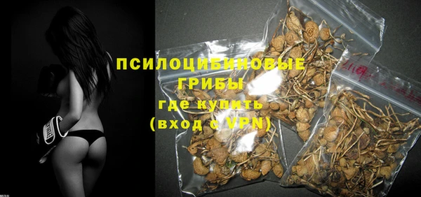 spice Аркадак