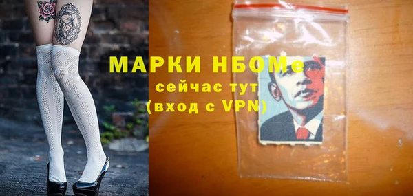 прущий лед Арсеньев