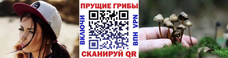 Галлюциногенные грибы Psilocybine cubensis  Чехов 